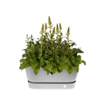 greenville terrase 80cm roues living ciment